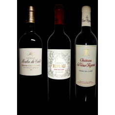 copy of COLLECTION BELLEFONT BELCIER - 3 BOUTEILLES