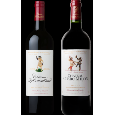 copy of Château Mouton Rothschild Pauillac Rouge