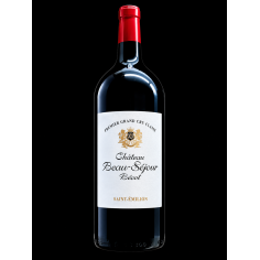 copy of Château Mouton Rothschild Pauillac Rouge