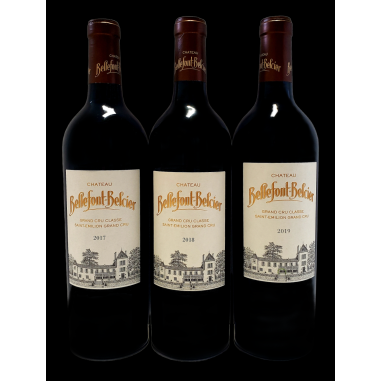 copy of Château Mouton Rothschild Pauillac Rouge